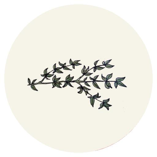 especiariabr's profile picture