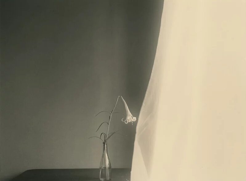 Imagem: Masao Yamamoto