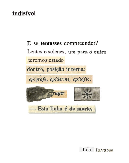Indizível, de Léo Tavares