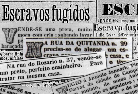 Pai contra mãe