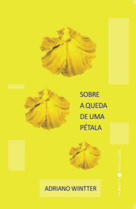 Sobre a queda de uma pétala