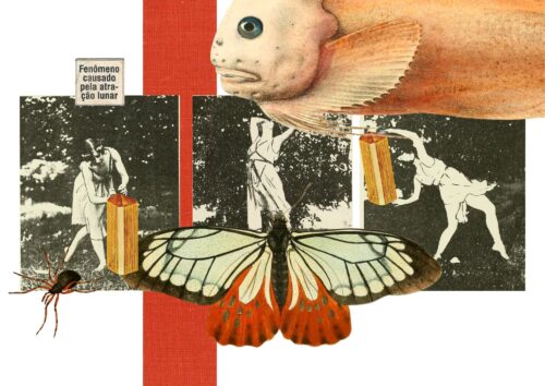 Seleção de poemas de Ledusha