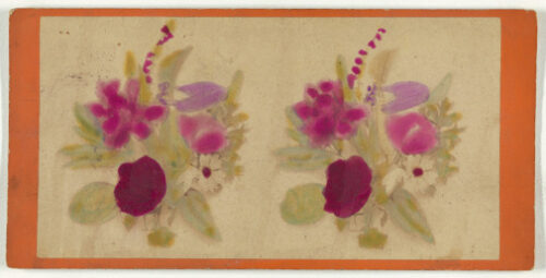 A flor que afasta o tédio