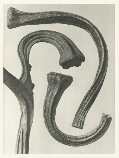 Poemas de Tiago D. Oliveira