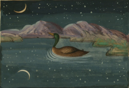 Inéditos de Leonardo Antunes