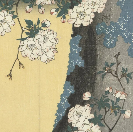 Inéditos de Mariana Ianelli