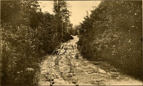 Poemas de Gustavo Adriano