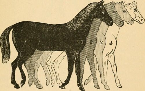 Poemas de Rute Ferreira