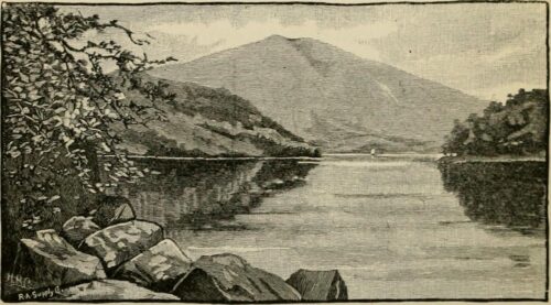 Seleção de poemas de Francisco Alvim