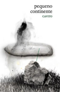 Pequeno continente